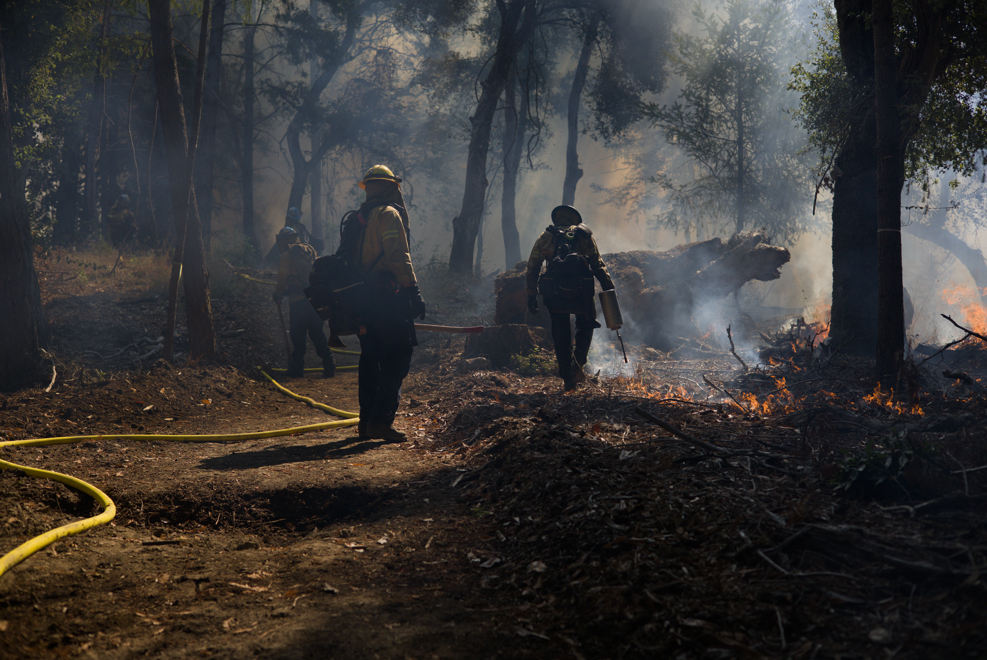 CCC crew in yellow turnout gear monitor a fire in a smoky mixed oak forest. A firebreak at left is marked by a firehose. At right, someone sets fire to the duff with a drip torch.
